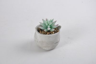 Simulated Succulent Potted Plants with Gray Cement Pot