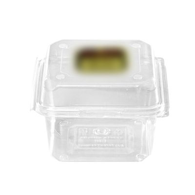 Clear Rectangular Plastic Container with Hinged Lid E-250