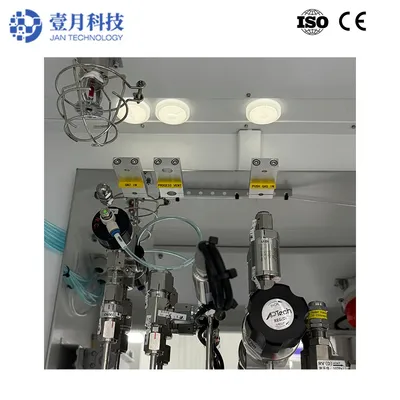 Automatic Single Cylinder Gas Cabinet with Purge for Biopharma Medical