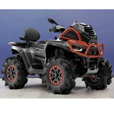 Seg ATV 4X4 Quad 1000cc Buggy for at 10 W Mud