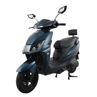 Zuboo 1.2kw Energy Efficient Removable Battery E Moped Electric Motorcycle for Sale