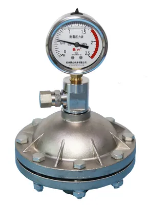 0.6 L PVC Diaphragm Type Pulsation Damper for Dosing Metering Pump