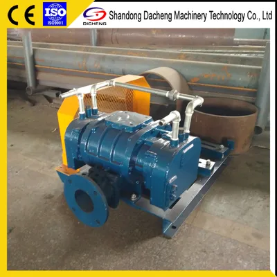 Dsr200g China Coal High Quality Ttransport Roots Rotary Lobe Blower