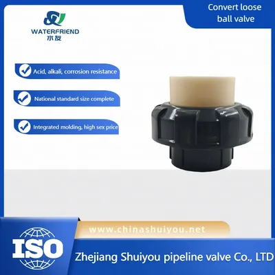 PVC Union Joint with OEM Support for Plumbing Systems