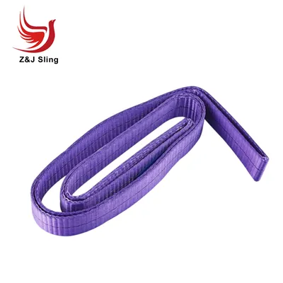 Wll 1t Violet Endless Webbing Sling One Way Lifting Sling