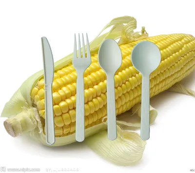 Disposable Corn Starch Tableware (THS-53)