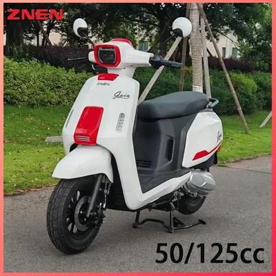 50cc EEC Scooter with Advanced Safety Features for Riders