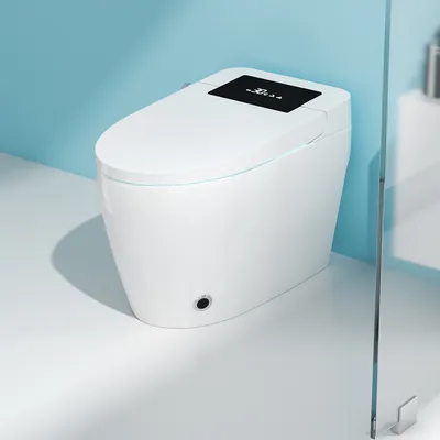 Floor Mounted Siphonic Bathroom Smart Toilet