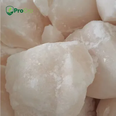 Herbicide Plant Growth Regulator Chlorpropham Cipc 98%Tc 50%Hn for Potatoes