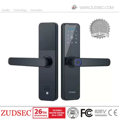 Keyless Home Door Security Touch Screen IC Card WiFi Digital Fingerprint Smart Locks with Mechanical Key