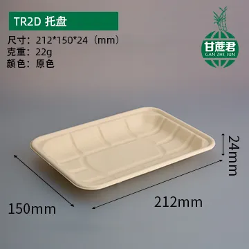Tr2d-Disposable Family Party Dinner Paper Tray