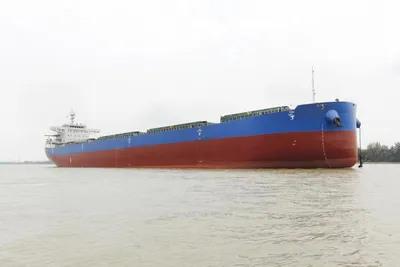 China's Premier Bulk Carrier: Unrivaled Performance