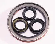 Oil Seal