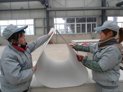 Qing Zi LAN Board
