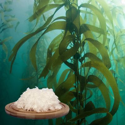 Alginate Fiber for Medical Use