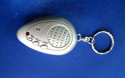 Keychain Voice Recorder (DVR-300)