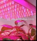 LED Grow light (HD-12)