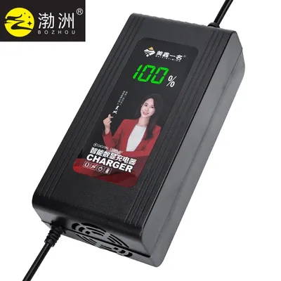 60V9a and 54.6V Certificate Lead Acid Onboard Battery Charger