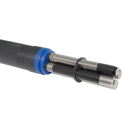 Portable Multiparameter Sonde