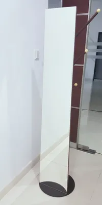 Removable Clothrack Mirror in Living Room