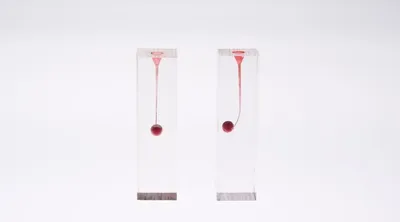 Cheap Dental Resin Endo Block for Study
