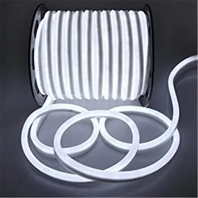 Outdoor LED RGB Ce RoHS 220V 110V 24V 12V Mini Flex LED Neon Light