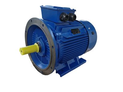 CE Certificate Approved, IEC, High Efficiency Three Phase Electric Motor