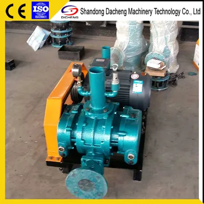 Dsr150V Roots Air Blower for Vacuum-Based Medical and Dental Equipment