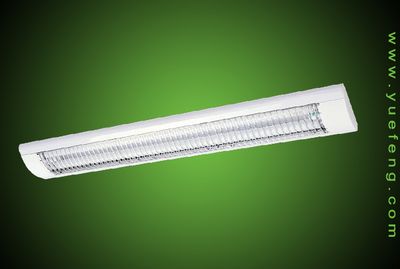 Fluorescent Light (MX248C)