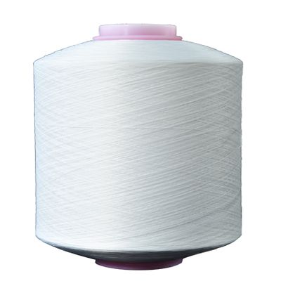 DTY Twist Yarn