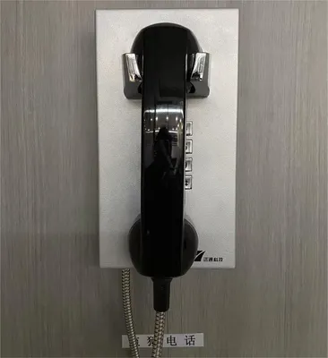 Industrial Weatherproof Outdoor Waterproof Vandal Resistant Jail Analog IP Telephone
