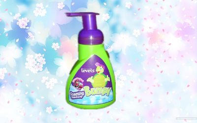 Watermelon Foaming Liquid Soap