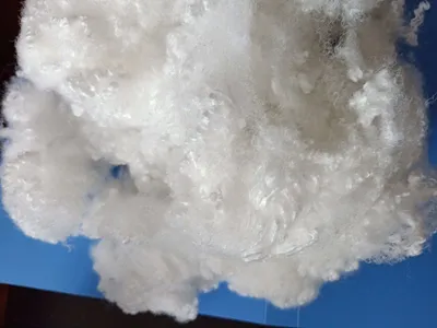 Filling Fiber Hollow Conjugated Silicon