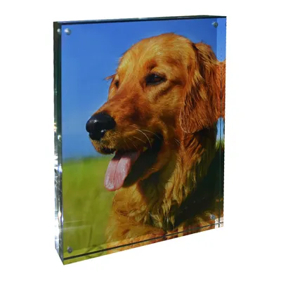 New Style Useful Design Acrylic Photo Frame with Magnet