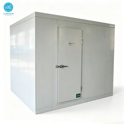 Commercial Blast Freezer Room for Fish Seafood Frozen Products