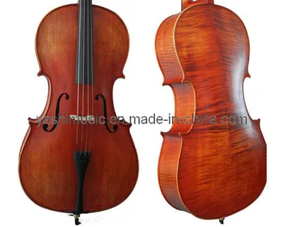 Cello (YSC008)