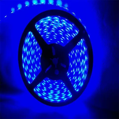 SMD 5050 Muti Color LED Strip Light DC 12V/24V 11.5W/M