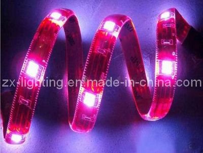 Crystal SMD Flexible Strip 30PCS LED/M (ZX-SFL30)