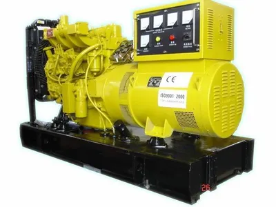 Factory Direct Price Ricardo Diesel Generator/Generating Set