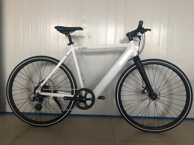 Popular Electric Bike
