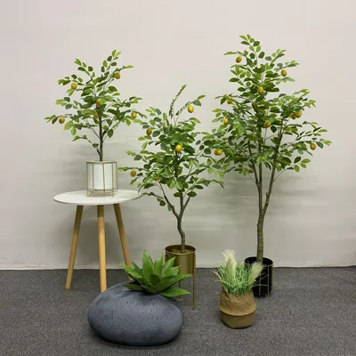 Gx Best Quality Tropical Faux Meyer Fruit Plant Lemon Tree