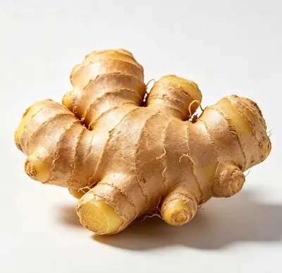 2026 Chinese Fresh Ginger Wholesale Natural Ginger Root for Food Processing