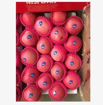 Yantai Red FUJI Apple Blush 5 Layer 20kg/CTN