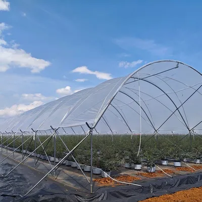 Rain-Shelter Greenhouses Suitable for Warm Regions Are CE Certified.