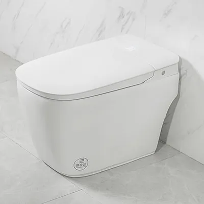 White Electric Tankless Self Cleaner Smart Toilet Automatic
