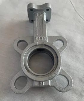 Foundry Production and Processing Ductile Iron Casting, Valve Body, Precisely Casting