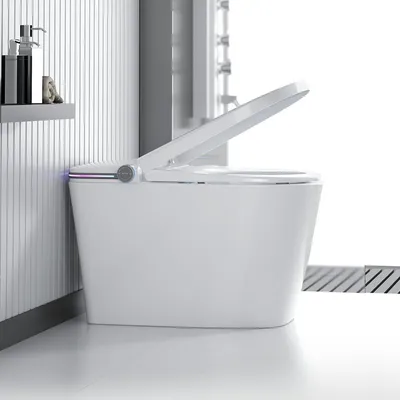 Floor Mounted Tankless Water Closets Smart Toilet Bowl