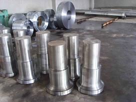Forged Shaft
