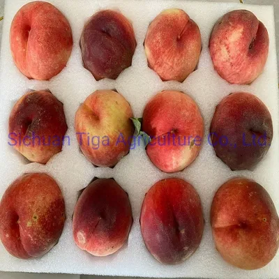 Healthy Fresh Sweet Summer Peach