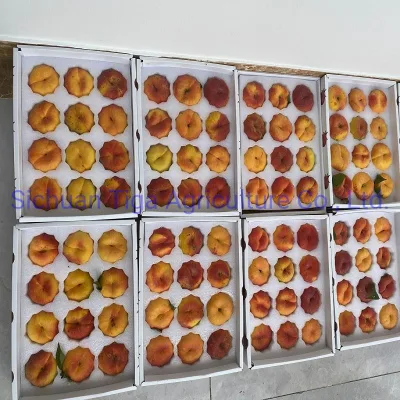 New Flavored Healthy Fresh Sweet Summer Peach